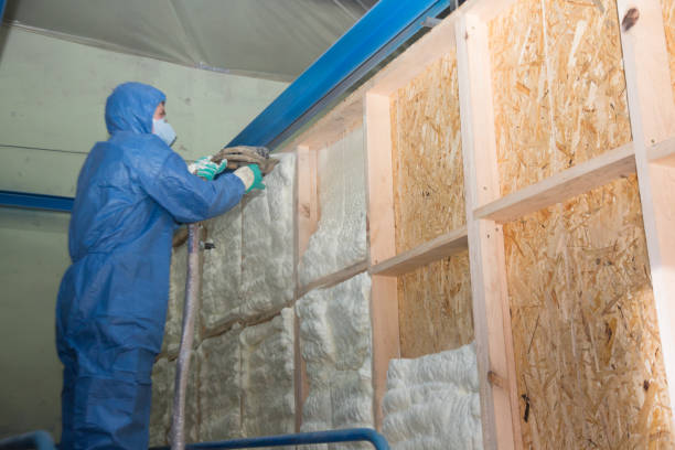 Attic Insulation Near Me in Center Line, MI