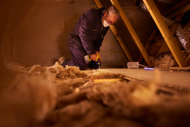 Insulation Inspection Services in Center Line, MI